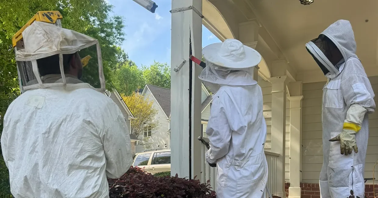 Technicians Performing Bee Removal from Porch Column