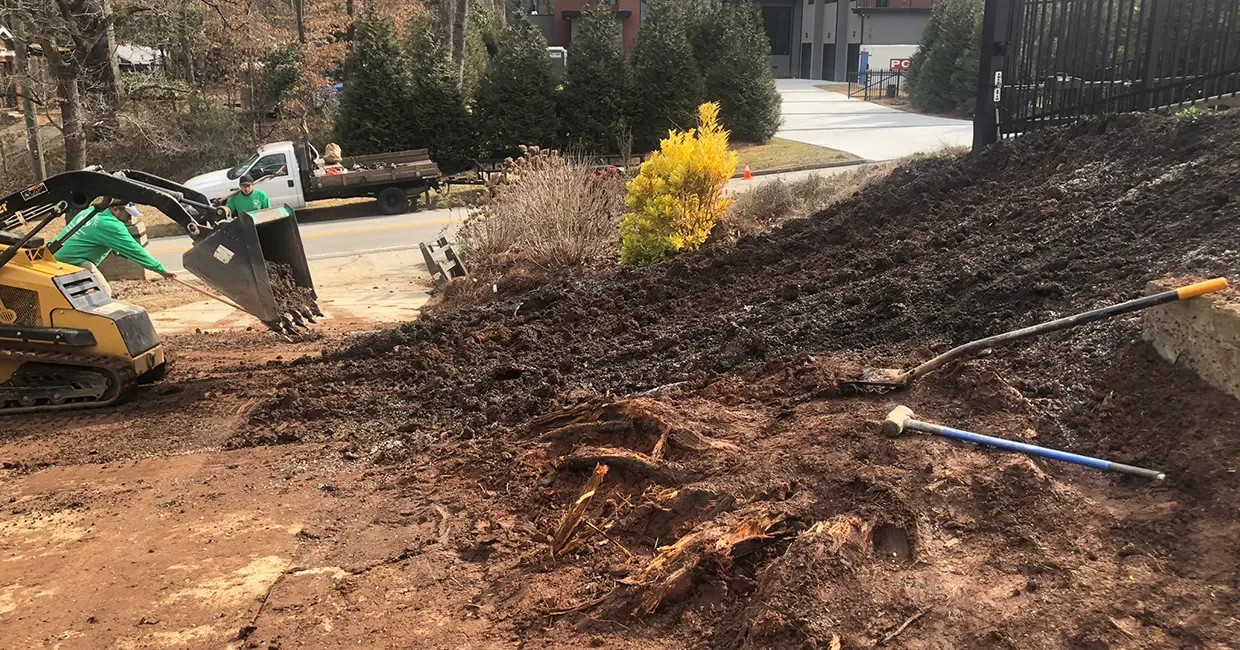 Landscape Installation