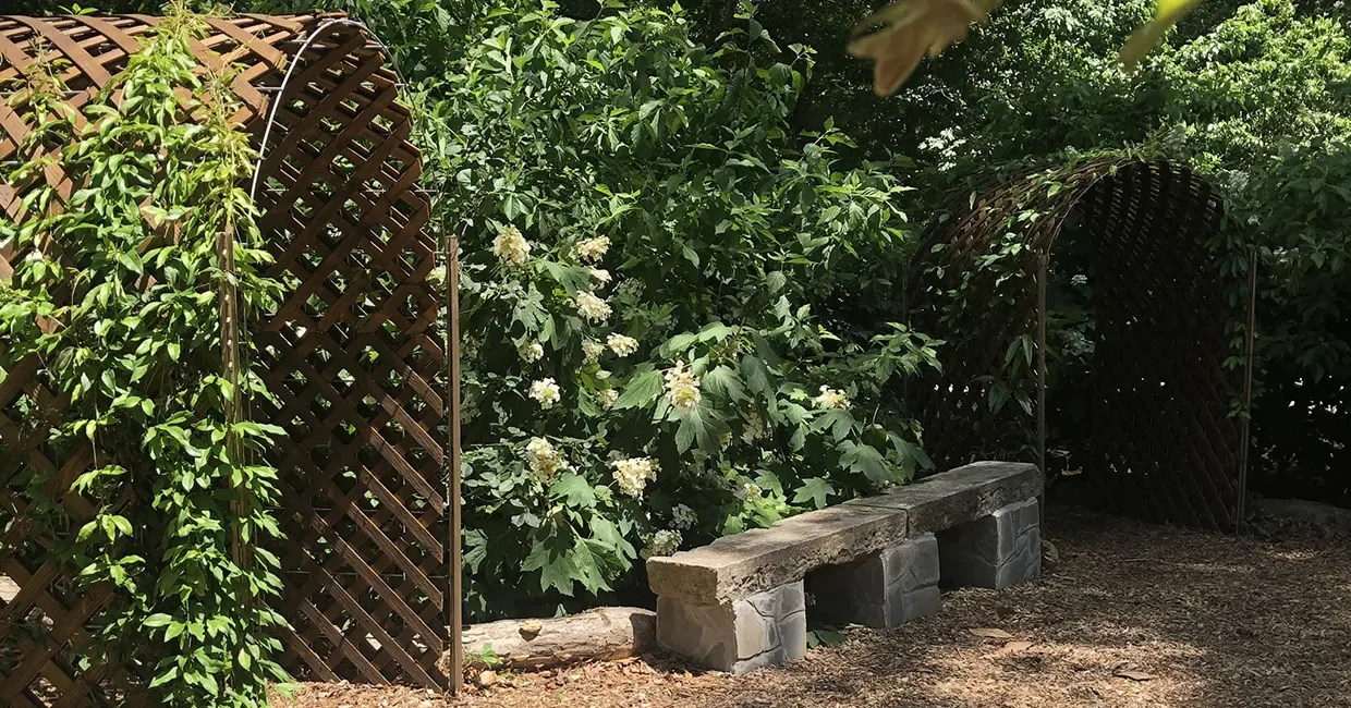 Woodland Gathering Space