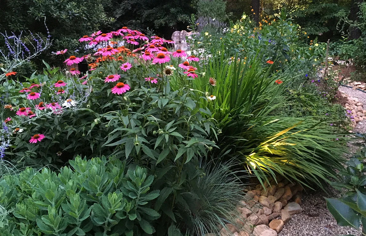 Sustainable Embry Hills landscape featuring a colorful perennial garden with honey bee hives.